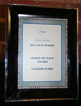 Spirit of NACE Award