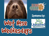 Wet Nose Wednesday