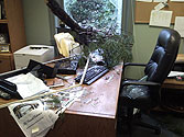 Joe Heaton's desk