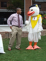Chris Downey & the Duck