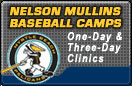 Pelicans Baseball Camp
