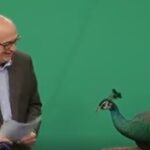 Jim Goodmon & the Peacock