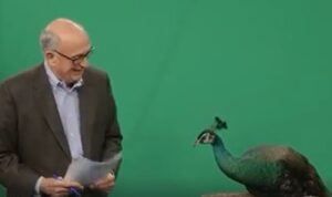 Jim Goodmon & the Peacock