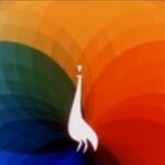 NBC Laramie Peacock - 2