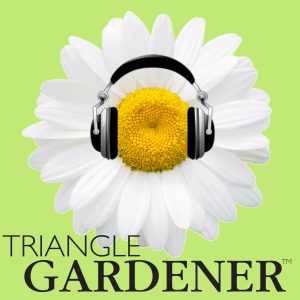 Triangle Gardner podcast