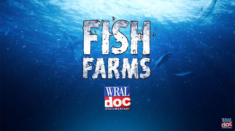 WRAL Documentary: Fish Farms