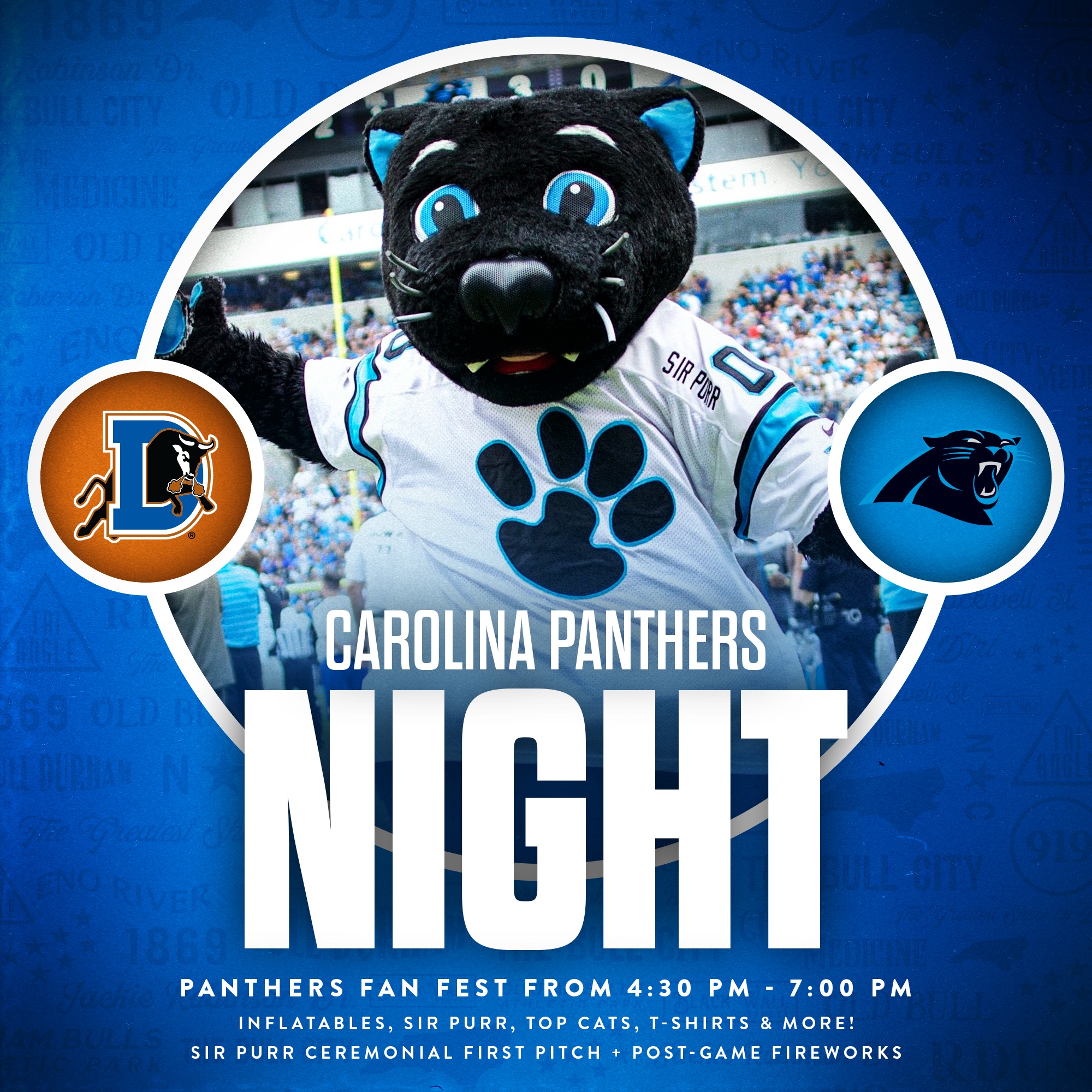 Bulls Durham & Carolina Panthers Nights & Two Fireworks Shows Highlight