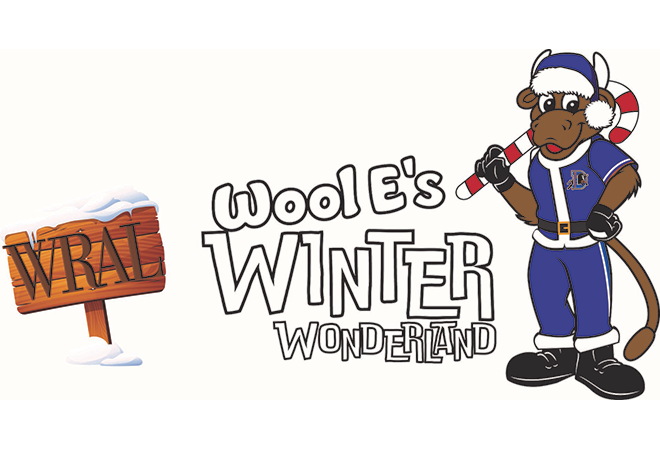 Wool E. Winter Wonderland