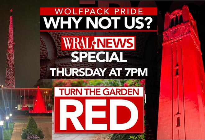 Wolfpack Red